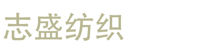 志盛纺织：慧表NxCells破解&ldquo;纸单+ERP&rdquo;困局，赋能企业降本提效革命